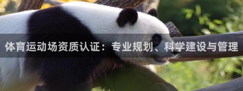 杏耀注册登录官网