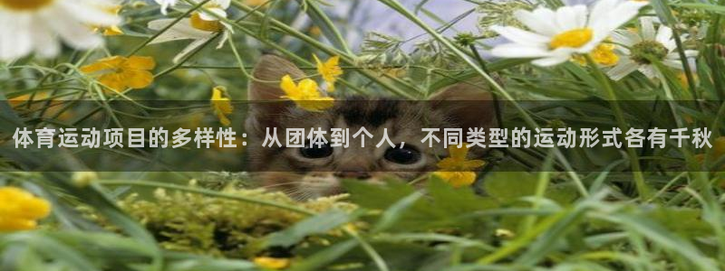 杏耀体育4