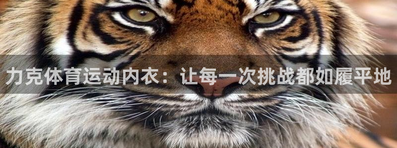 杏耀3平台登录注册