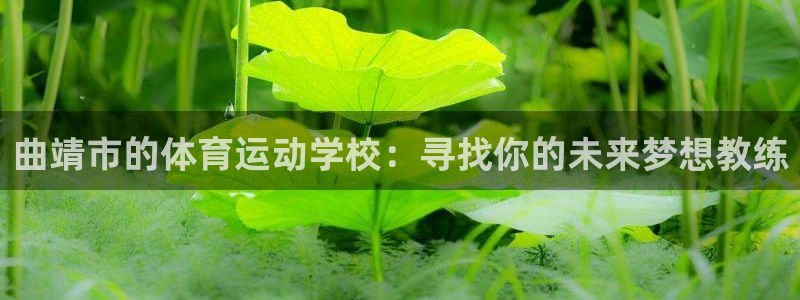 杏耀体育热门赛事有哪些