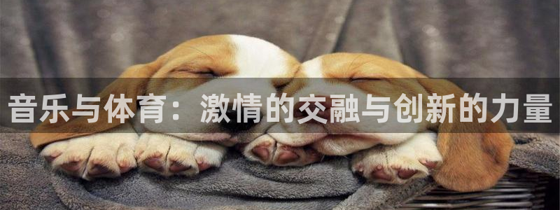 杏耀代理