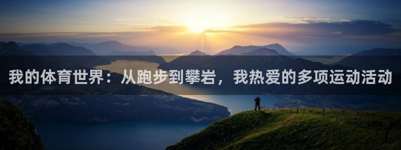 杏耀体育网页版入口