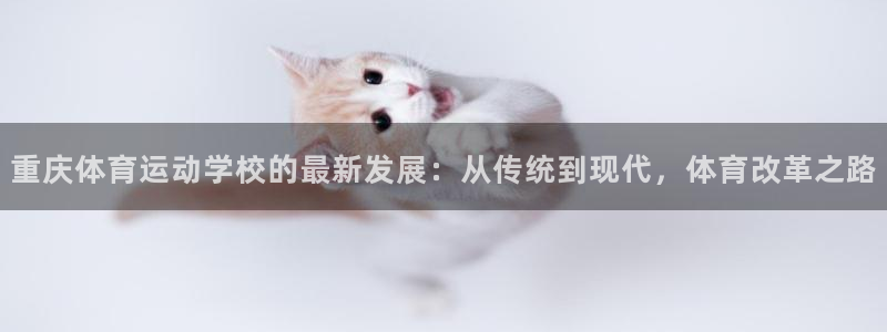 杏耀注册