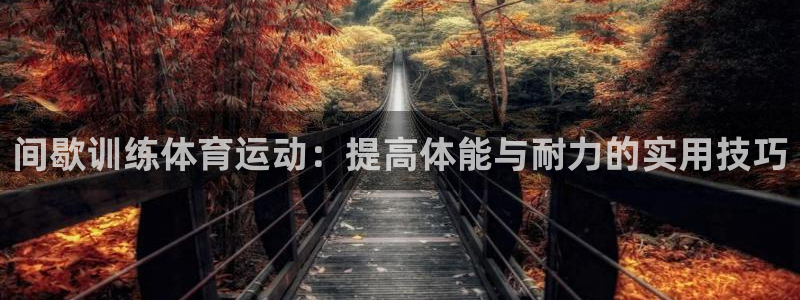 杏耀测速登录地址