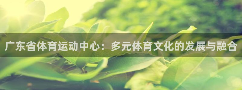 杏耀体育注册登录入口