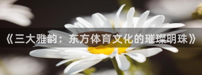杏耀代理注册官网入口