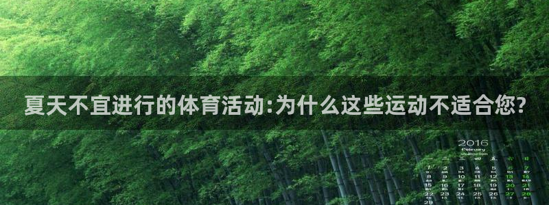 杏耀平台测速最新版本更新内容
