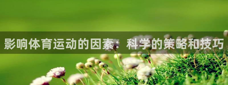 杏耀股份