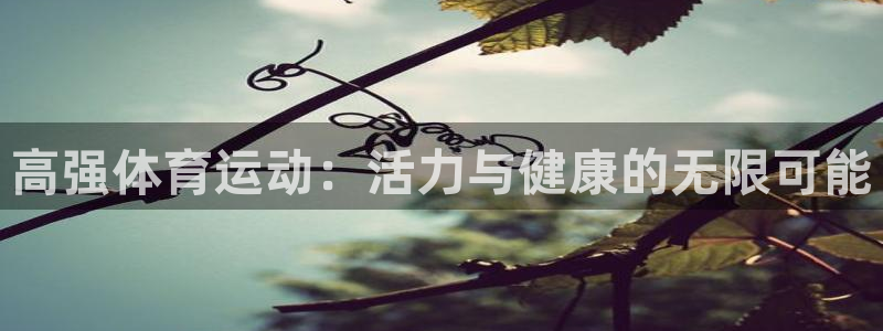 杏耀2登录入口