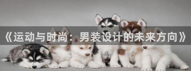 杏耀体育平台总代理