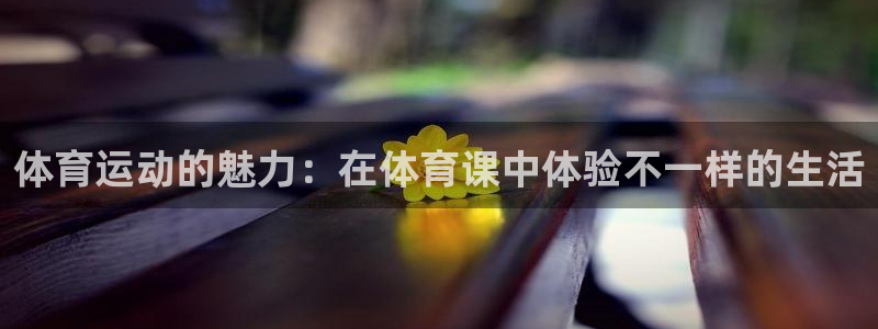 杏耀体育凯捷平台主管
