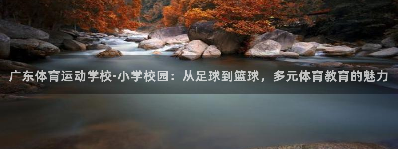杏耀app登录