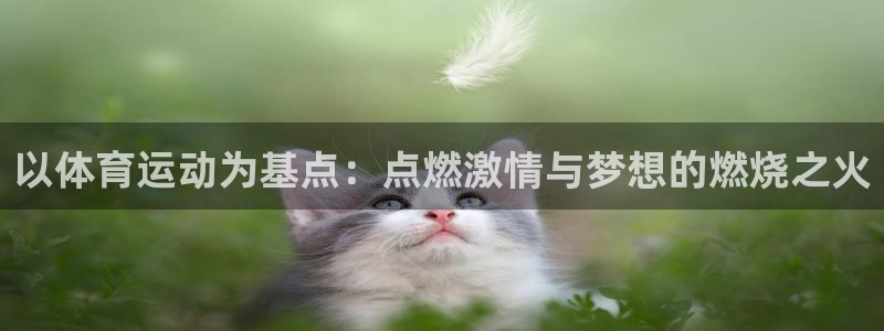 杏耀官网测速
